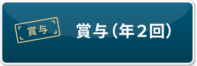 賞与（年２回）